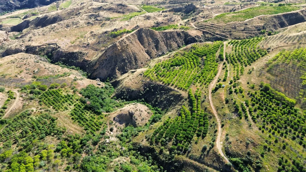 Estate aerial overview — Arpa Valley