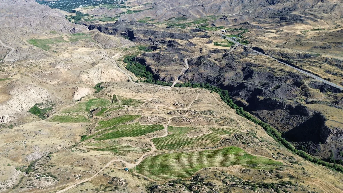 Estate boundary — eastern ridgeline
