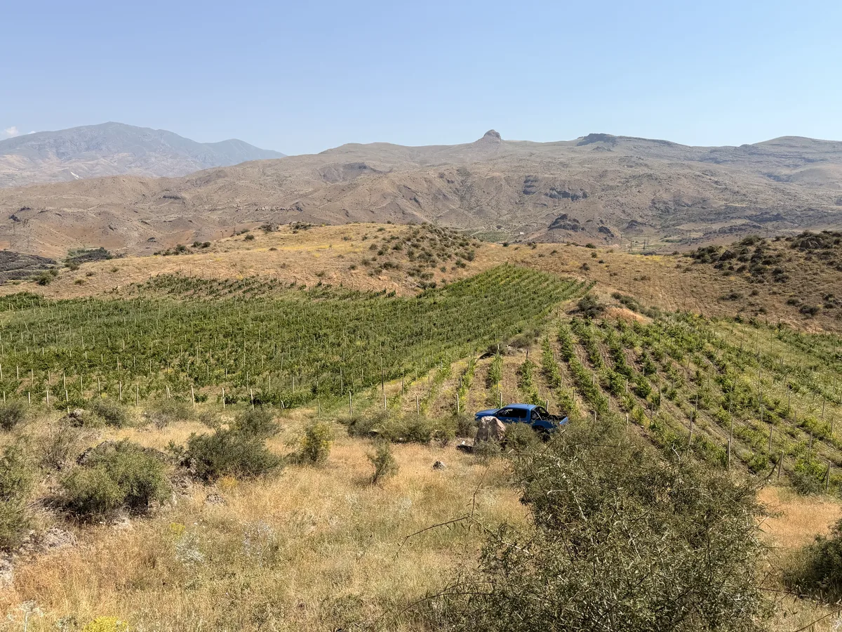 Estate land — agricultural terrain